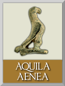 aquila1