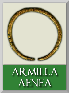 armilla1