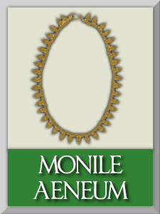 monile1