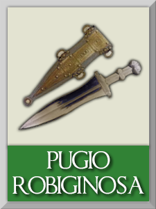 pugio1